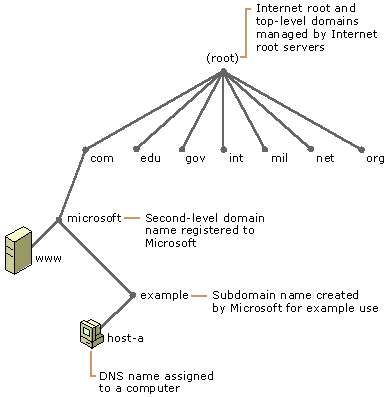Dns Hierarchical Structure